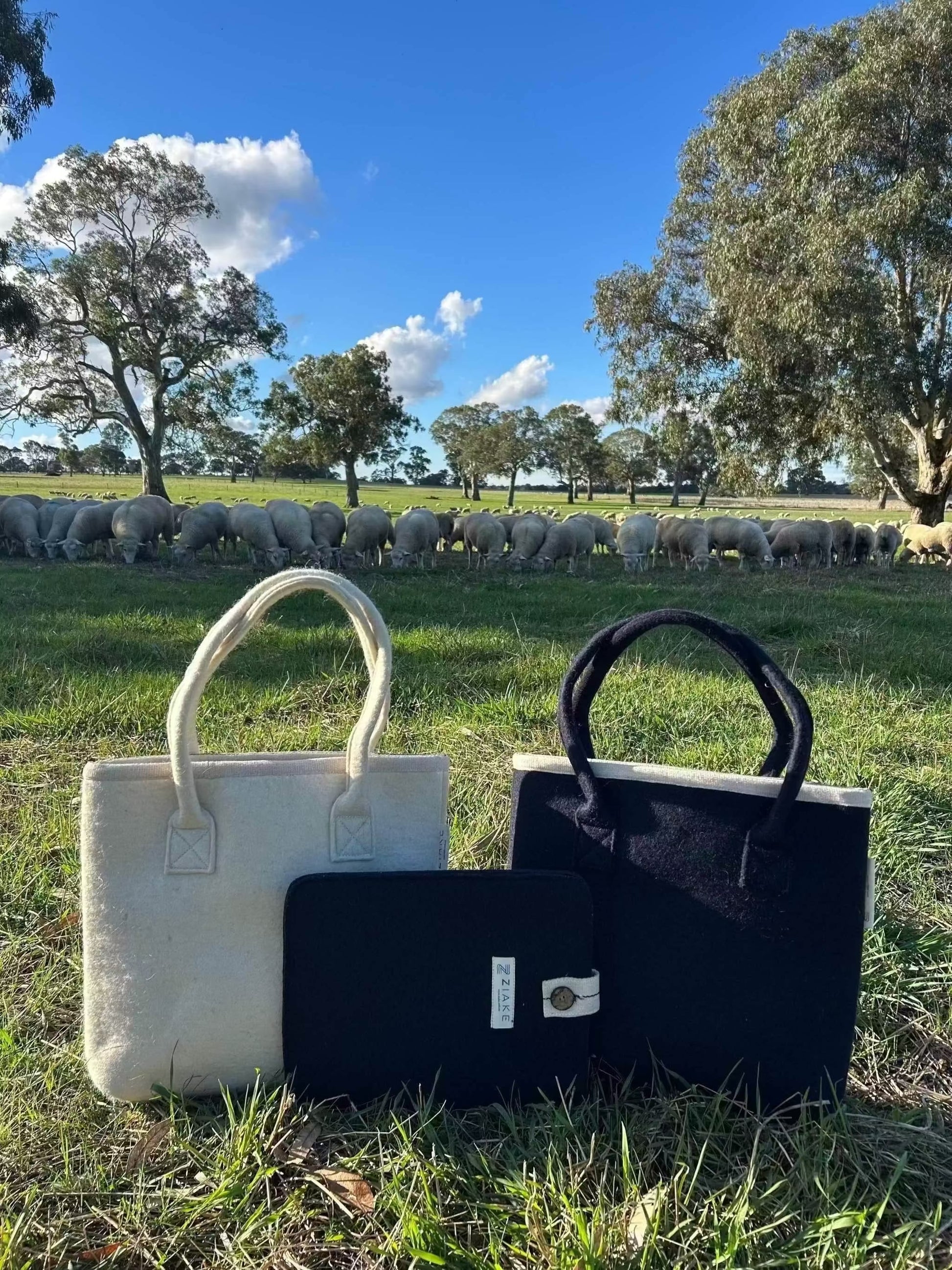 Australian wool tote bag in natural wool and navy with matching handles and cotton lining, designed for professionals wanting to use a natural fibres.  Bags are in a beautiful paddock with sheep in the background representing the wool use in the bag.  Infront is a Navy laptop sleeve. 