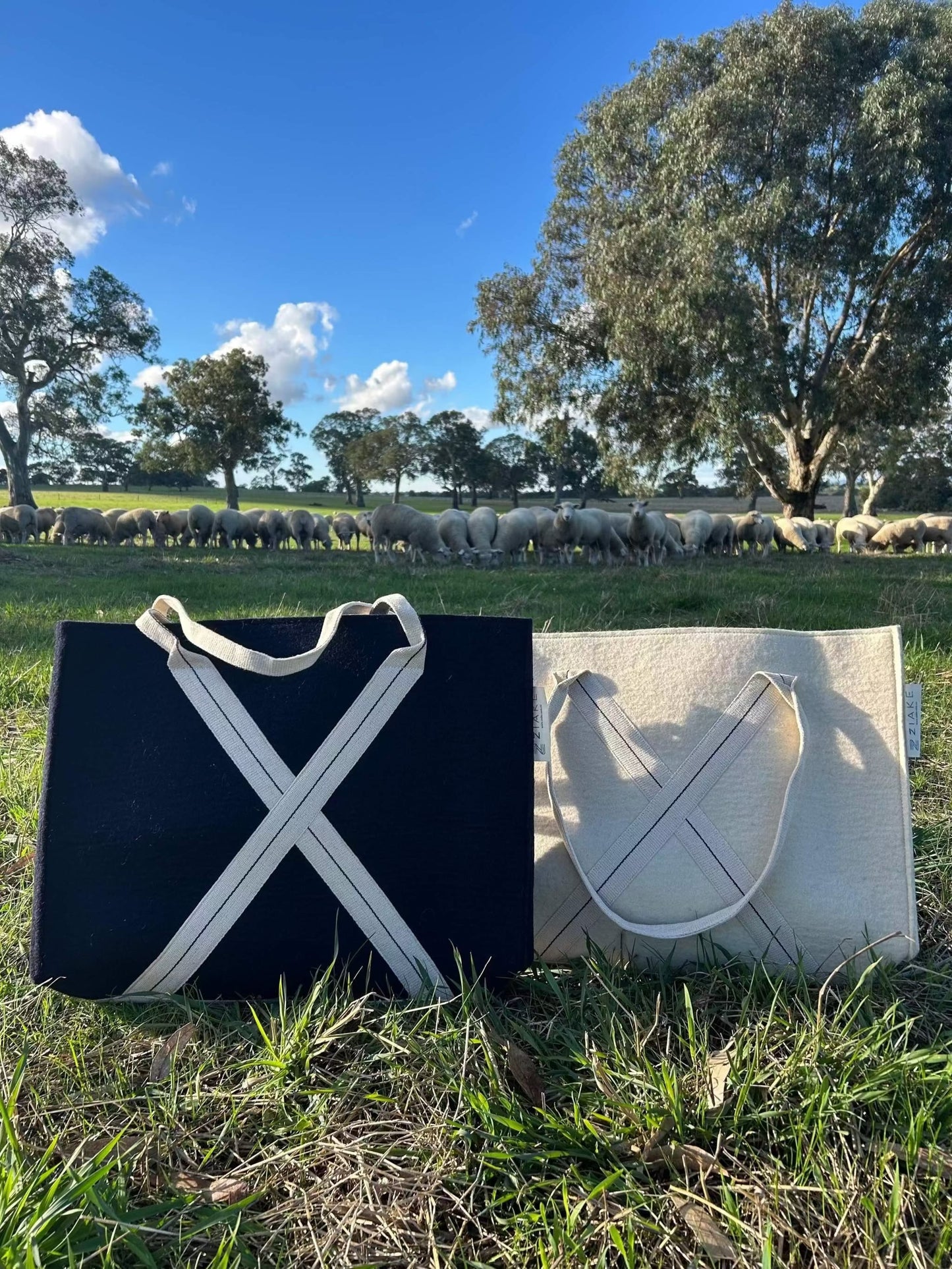Everyday wool bag in natural wool and navy colour with cotton handles and cotton lining, showcasing versatile design for daily use and travel.  Bag is in a beautiful paddock with sheep in the background representing the wool use in the bag. 