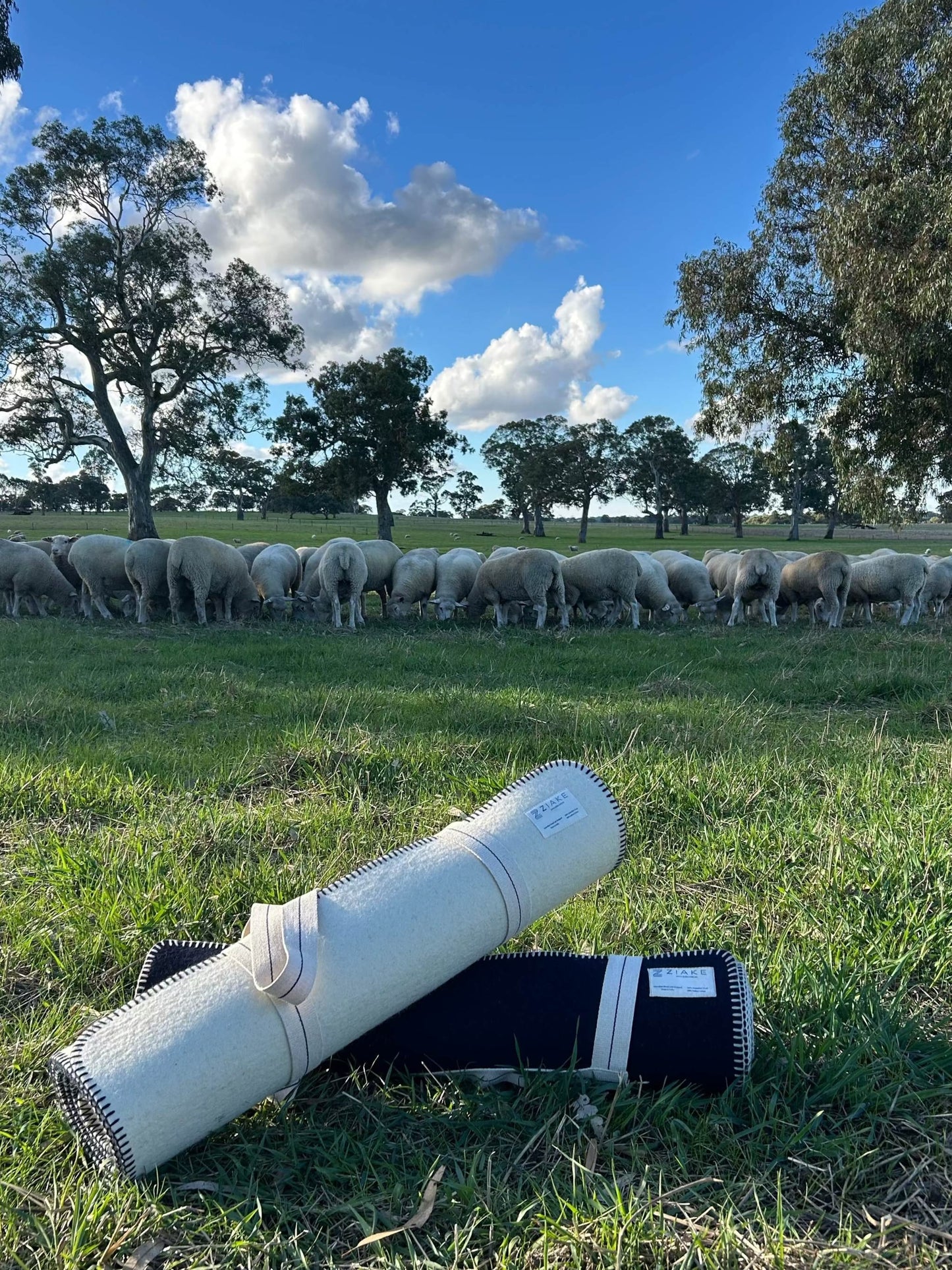 Australian crossbred wool fitness yoga mats in natural wool colour and navy colour, with cotton stitching and carry handle for yoga, pilates, meditation, fitness warm down and stretching.  In a sheep paddock with sheep in the background, representing the wool used in the mat. 