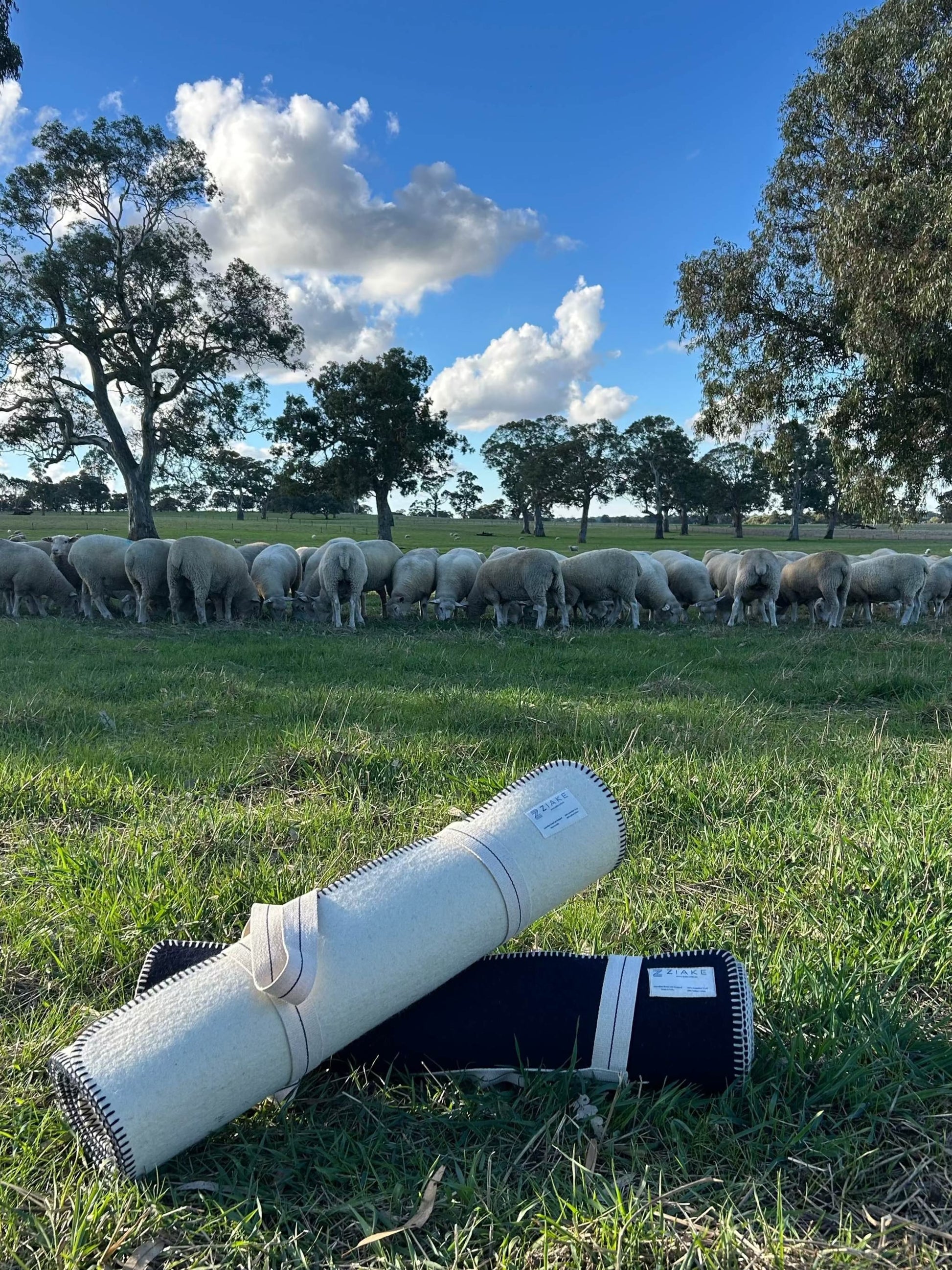Australian crossbred wool fitness yoga mats in natural wool colour and navy colour, with cotton stitching and carry handle for yoga, pilates, meditation, fitness warm down and stretching.  In a sheep paddock with sheep in the background, representing the wool used in the mat. 